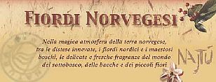 fiordi norvegesi